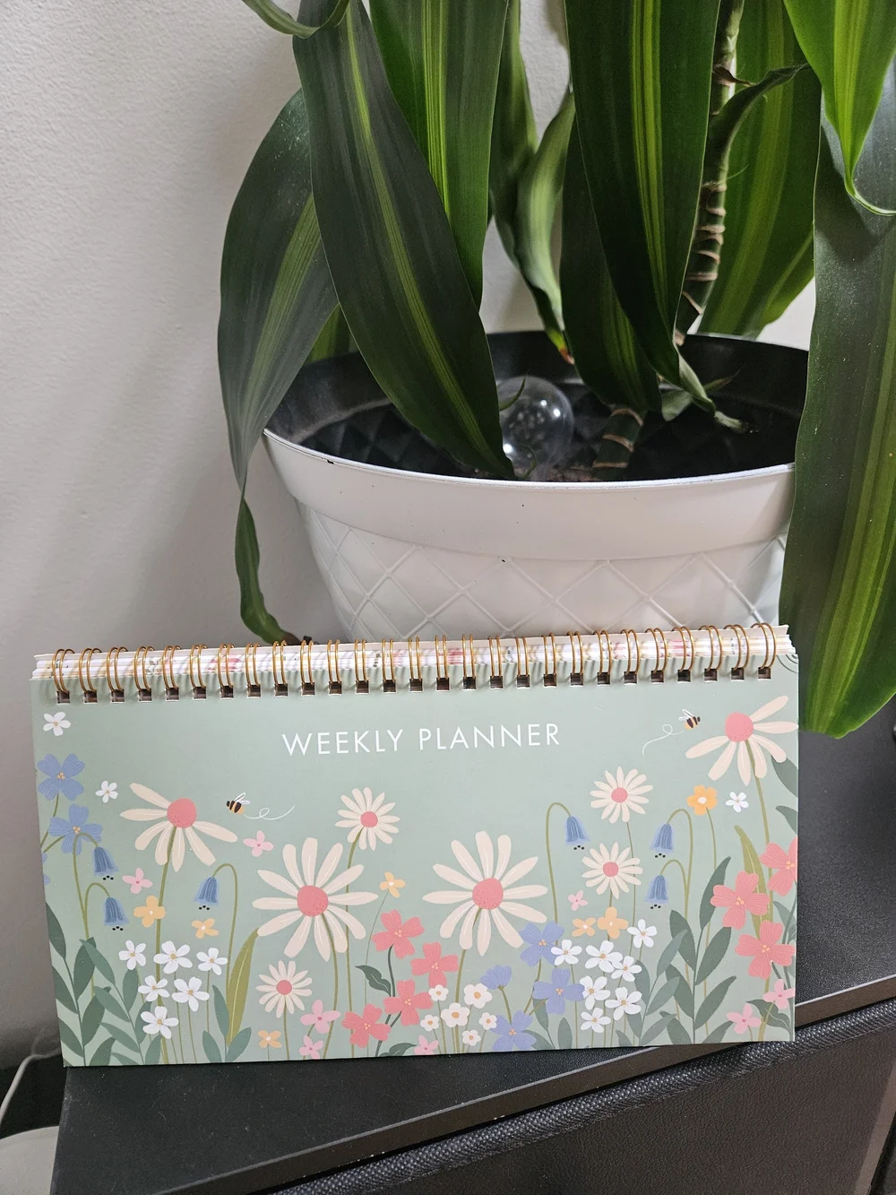 Floral Weekly Planner Desk Calendar - Mint Green